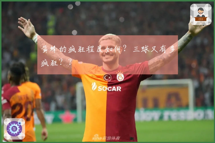 黄蜂的疯狂程度如何？三球又有多疯狂？？