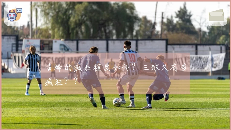 黄蜂的疯狂程度如何？三球又有多疯狂？？